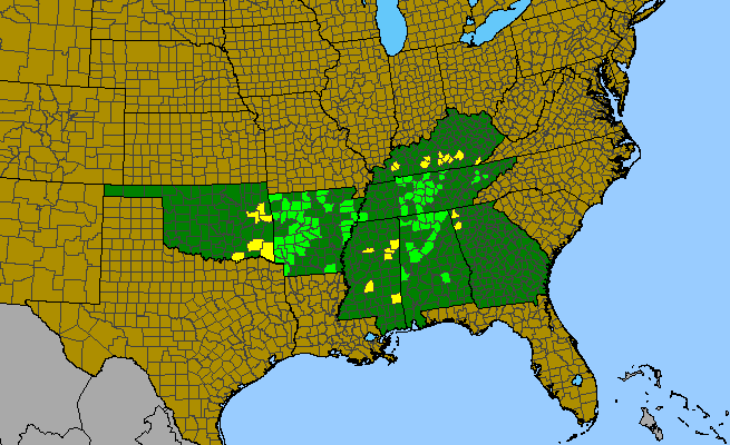 The range of Ulmus serotina